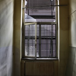 _mg_7482