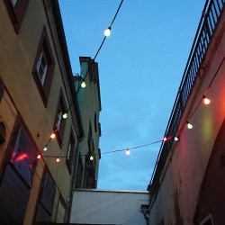 dsc_3057