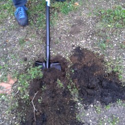 erdprobe